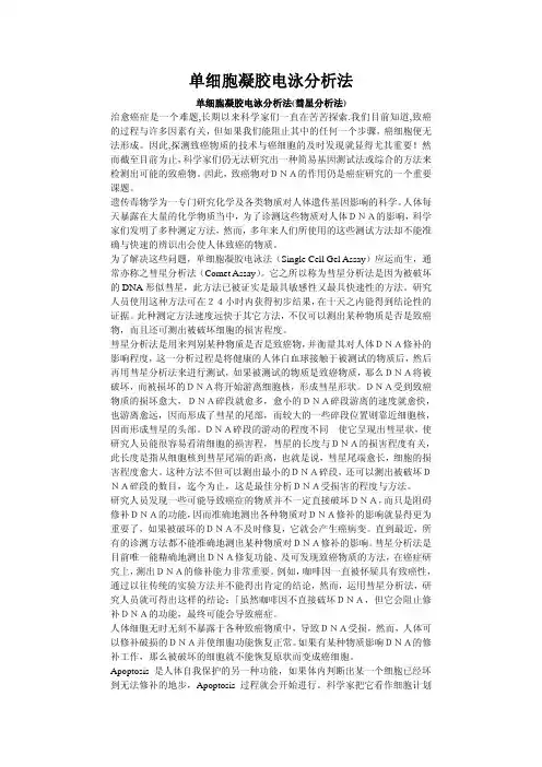 彗星试验