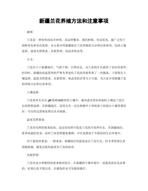 新疆兰花养殖方法和注意事项
