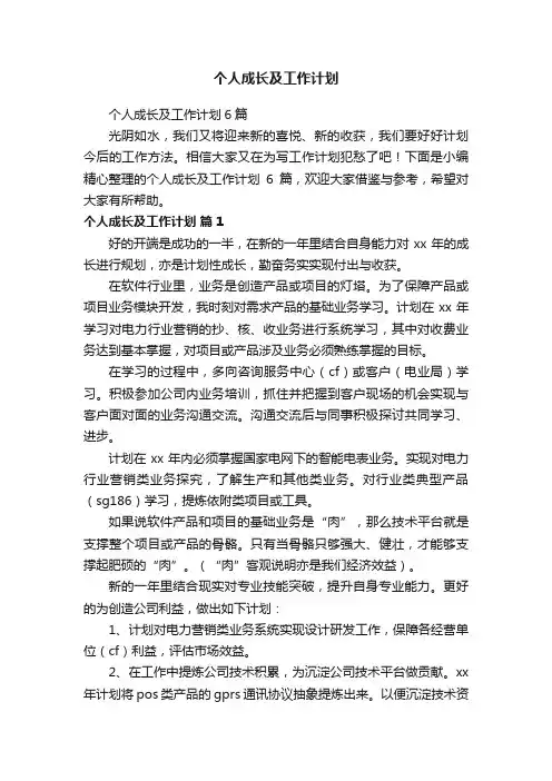 个人成长及工作计划