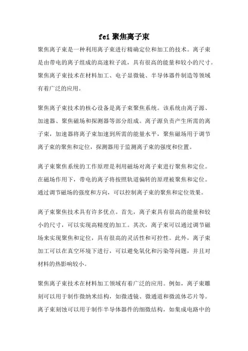 fei聚焦离子束