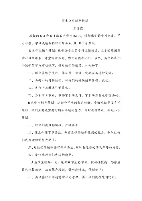学生分层辅导计划