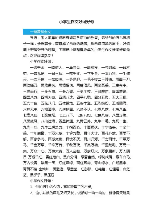 小学生作文好词好句