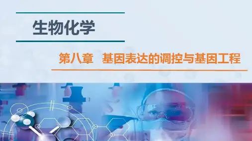 《生物化学》-第八章