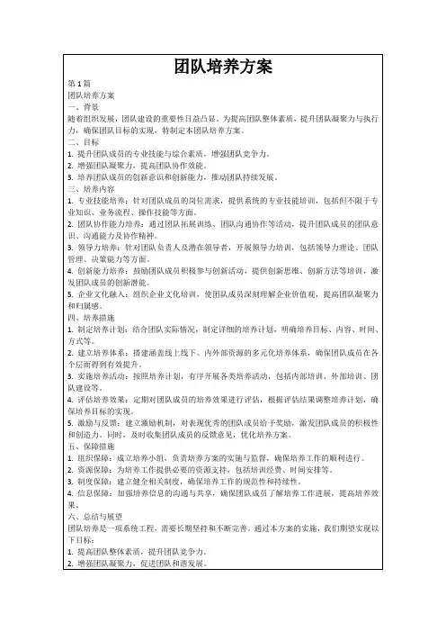 团队培养方案