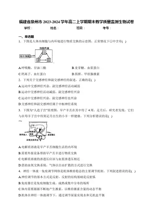 福建省泉州市2023-2024学年高二上学期期末教学质量监测生物试卷(含答案)