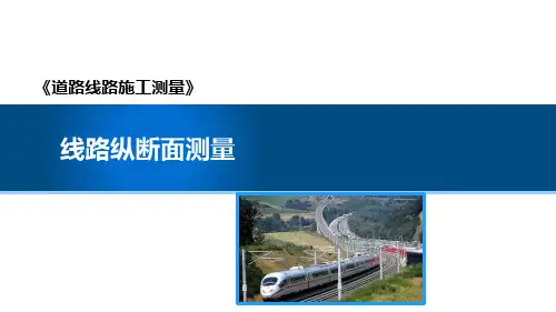 线路纵断面测量