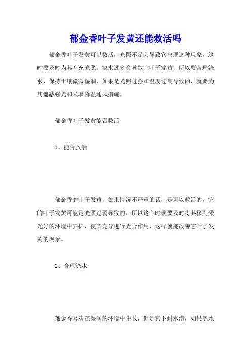 郁金香叶子发黄还能救活吗