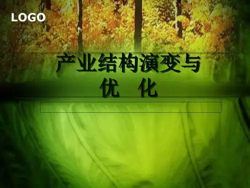 产业结构演变与优化