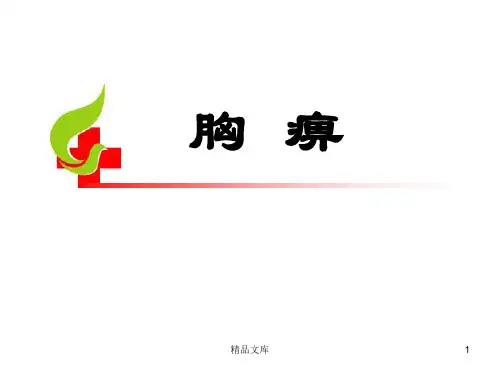 培训课件胸痹.中医护理方案..ppt