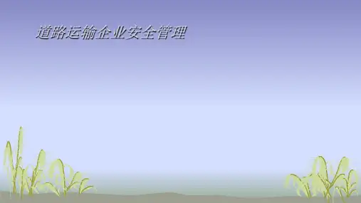 道路运输企业安全管理培训教材(PPT36页)