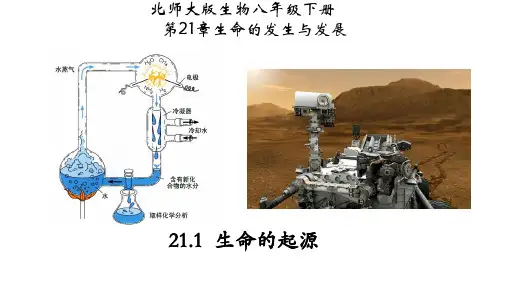 21.1 生命的起源-八年级生物下册课件(北师大版)