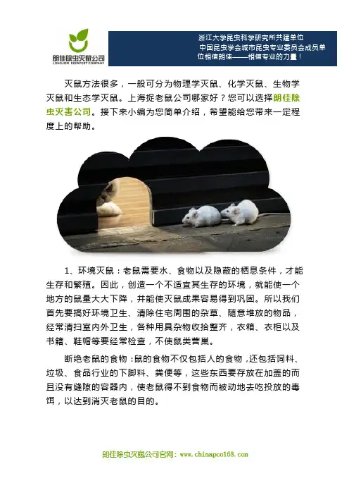 上海捉老鼠公司