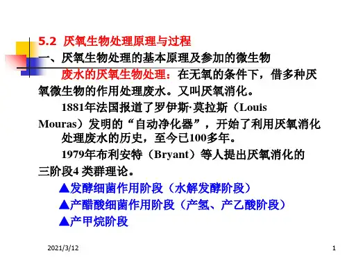 水处理微生物学(第十讲)PPT课件