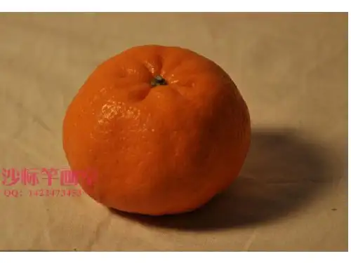 素描橘子(课堂PPT)