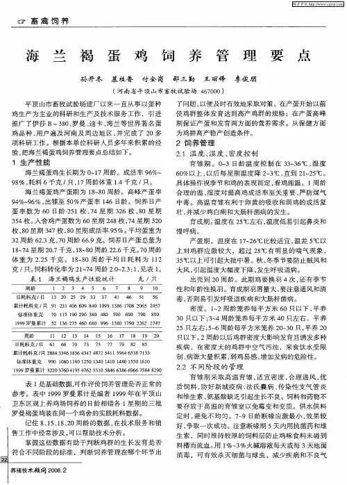 海兰褐蛋鸡饲养管理要点