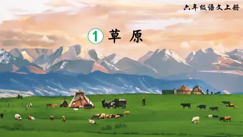 《草原》课件(共24张PPT)