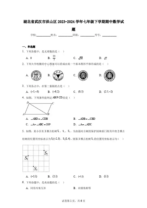 湖北省武汉市洪山区2023-2024学年七年级下学期期中数学试题