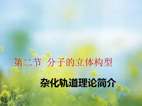 杂化轨道理论简介PPT教学课件