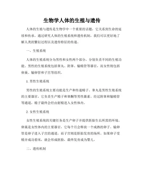 生物学人体的生殖与遗传