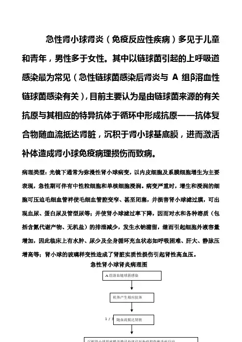 急性肾小球肾炎概述及病理图示