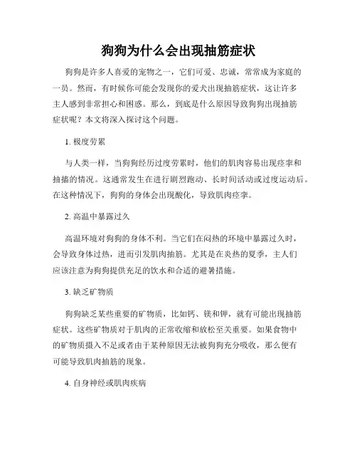 狗狗为什么会出现抽筋症状