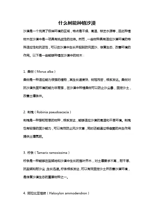 什么树能种植沙漠