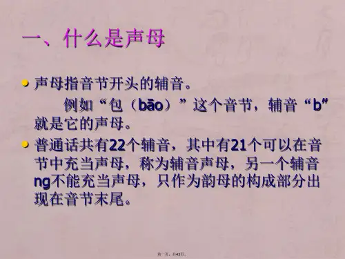 现代汉语_声母
