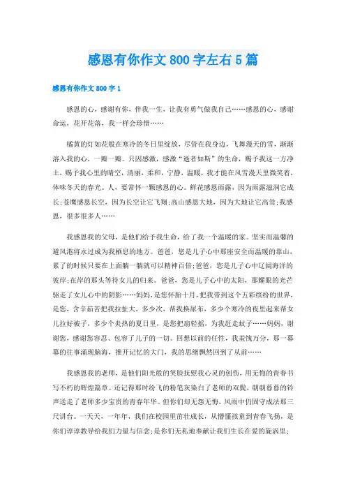 感恩有你作文800字左右5篇