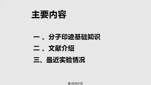 分子印迹聚合物简介PPT课件