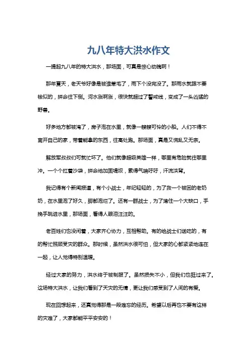 九八年特大洪水作文