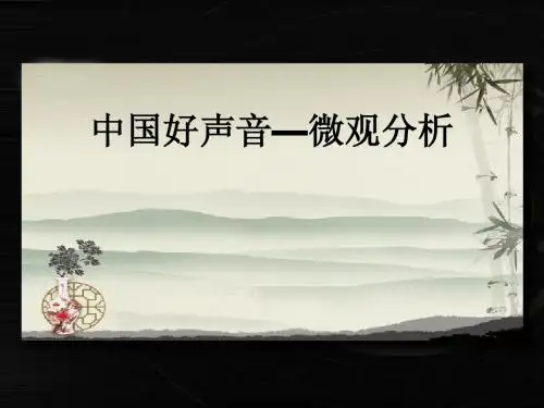 中国好声音-微观分析