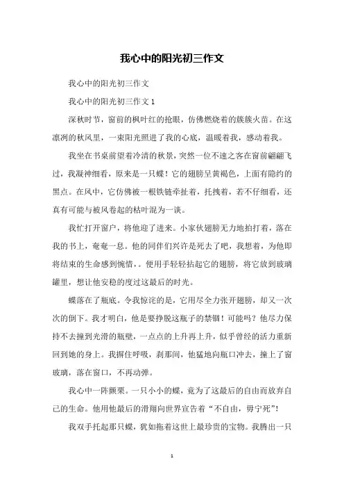 我心中的阳光初三作文