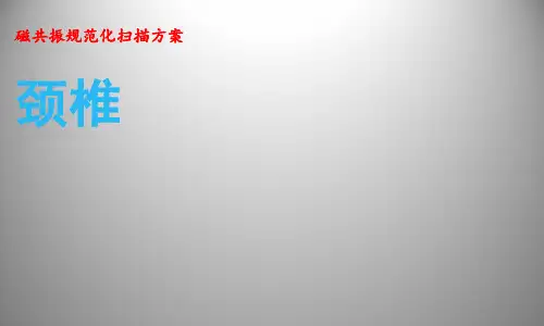 MR355颈椎规范化扫描方案