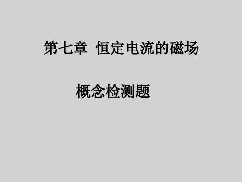 第7章 恒定电流的磁场