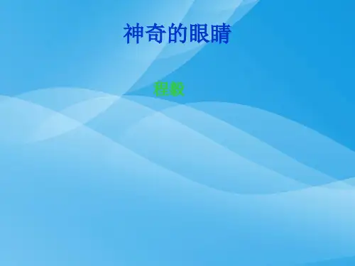 神奇的眼睛ppt4 教科版优质课件优质课件