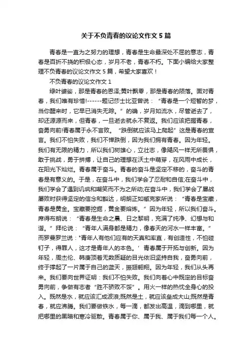 关于不负青春的议论文作文5篇