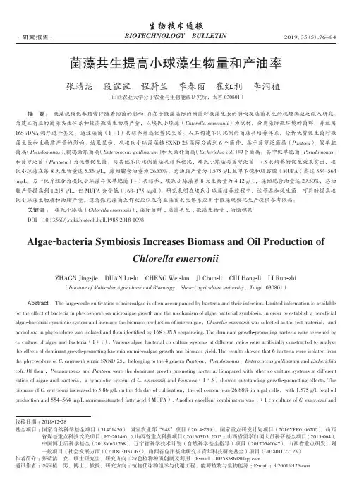 菌藻共生提高小球藻生物量和产油率