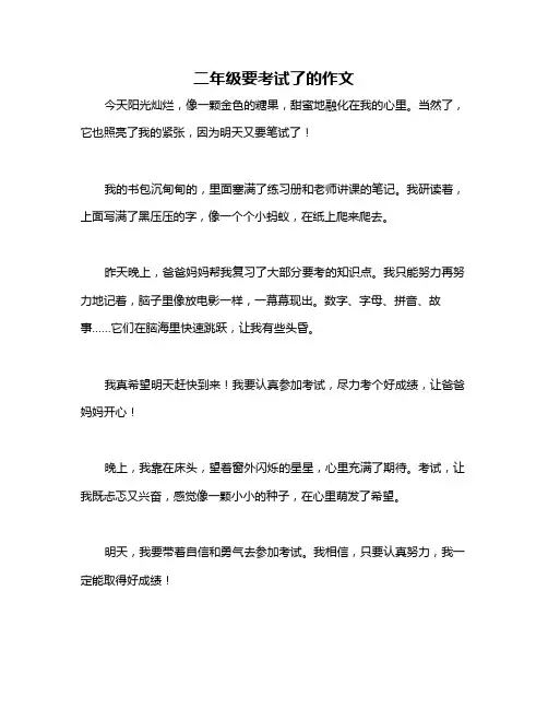 二年级要考试了的作文