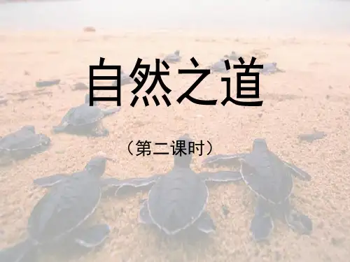 (公开课课件)四年级下册语文《自然之道》(第二课时)(共17张PPT)