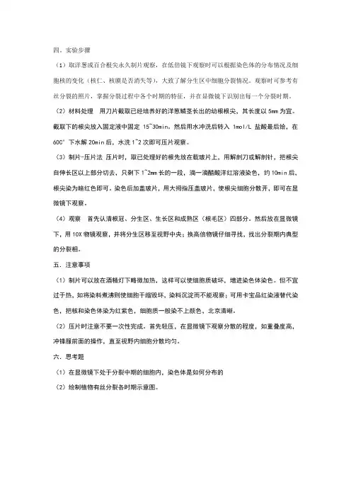 有丝分裂实验步骤