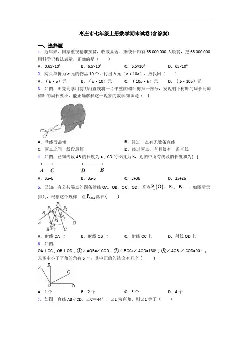 枣庄市七年级上册数学期末试卷(含答案)