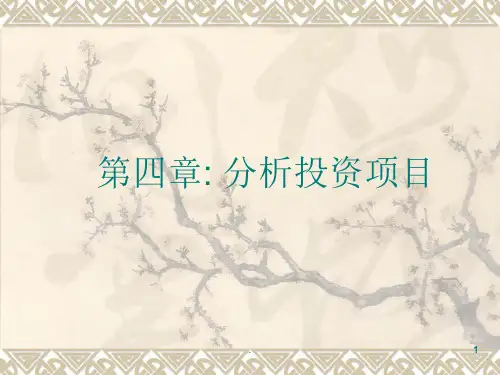 分析投资项目PPT课件