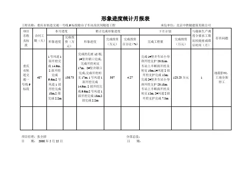 形象进度统计月报表