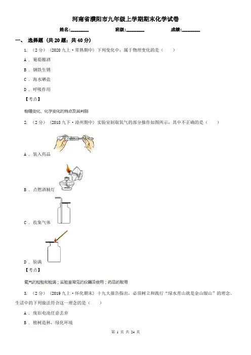 河南省濮阳市九年级上学期期末化学试卷