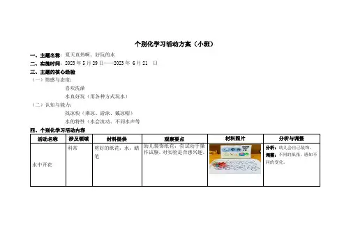 小班个别化学习活动方案(夏天真热闹,好玩的水)