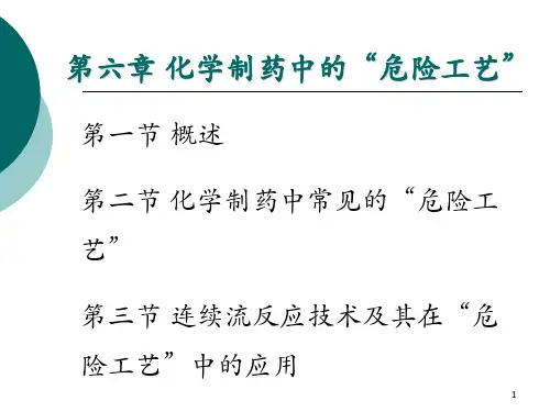 第六章-化学制药中的“危险工艺”第二节 化学制药中常见的“危险工艺”