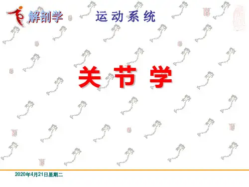 3 运动系统-关节学 系统解剖学课件