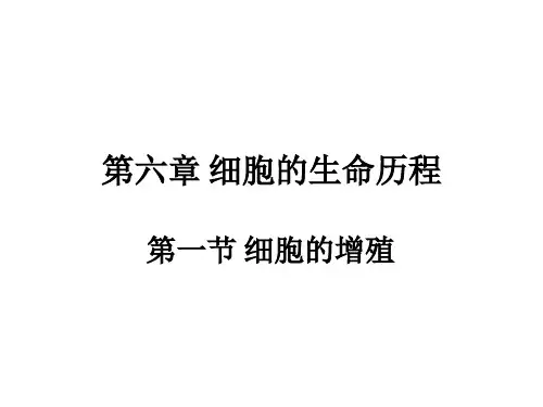 (新教材)高中生物《细胞的增殖》PPT公开课课件人教版1