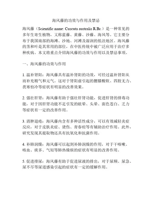 海风藤的功效与作用及禁忌