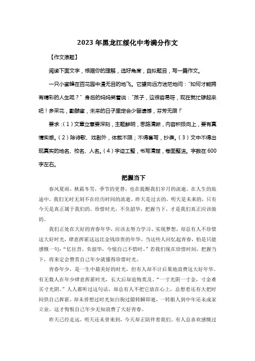 2023年黑龙江绥化中考满分作文《把握当下》
